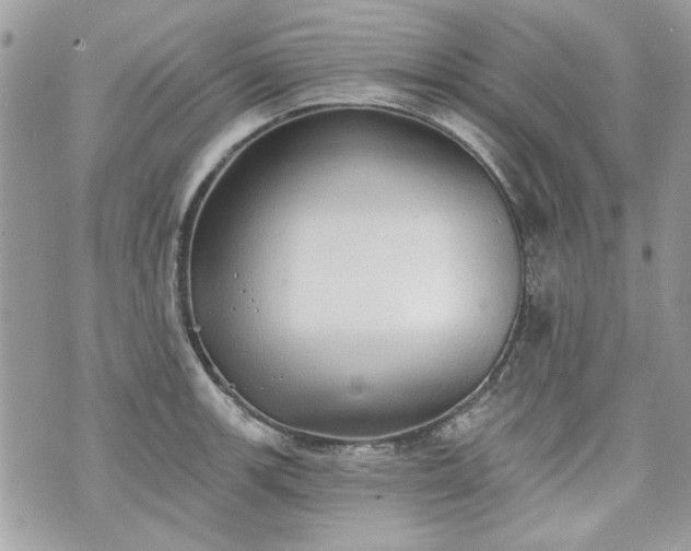 X0000070361139200606161245