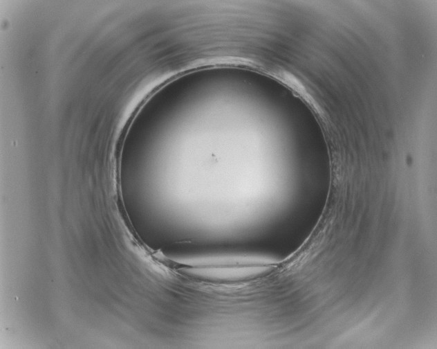 X0000070361140200606161245