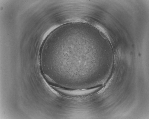 X0000070361141200606161245