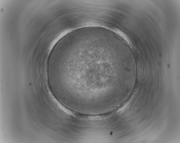 X0000070361142200606161245