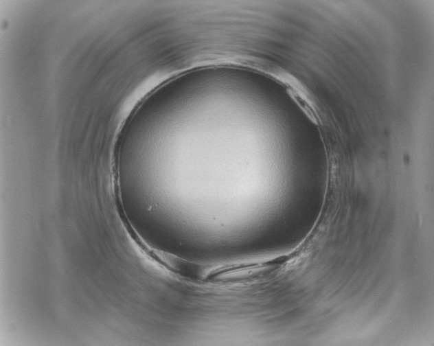 X0000070361143200606161245