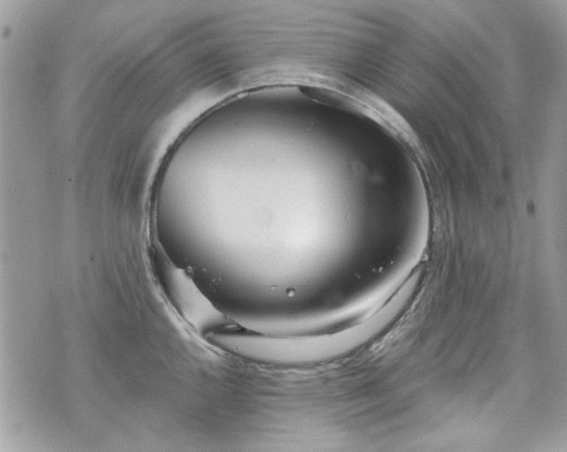 X0000070361144200606161245