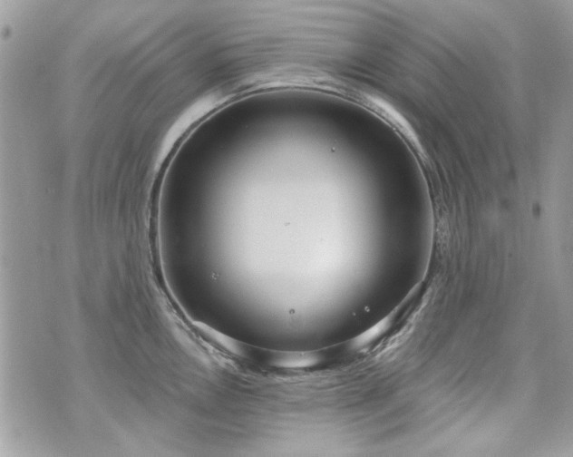 X0000070361146200606161245