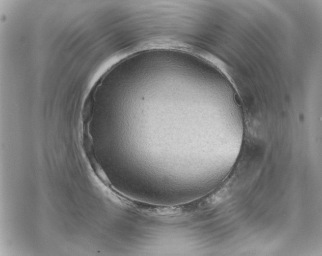 X0000070361147200606161245