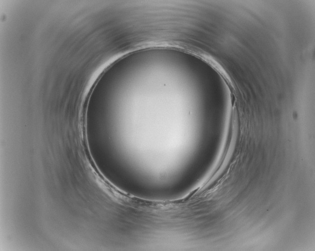 X0000070361148200606161245