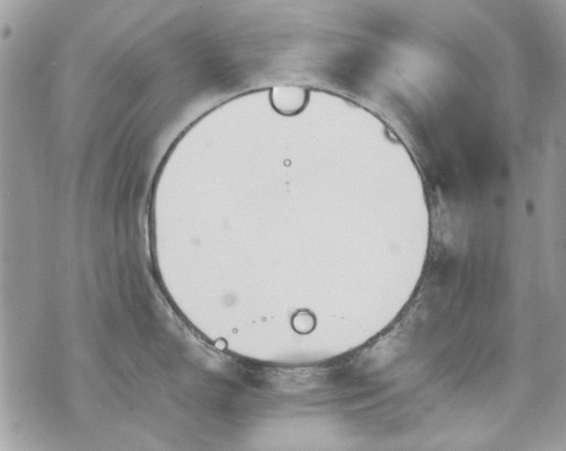 X0000070361150200606161245