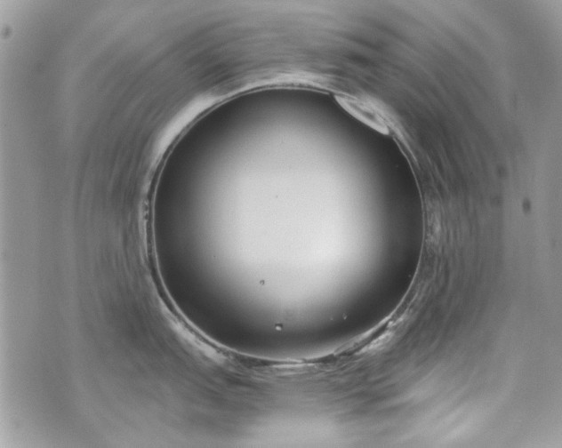 X0000070361151200606161245