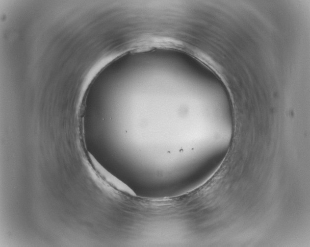 X0000070361152200606161245