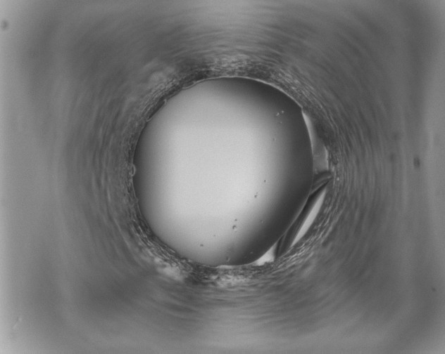 X0000070361153200606161244