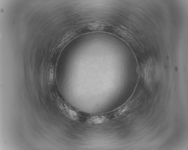 X0000070361154200606161244