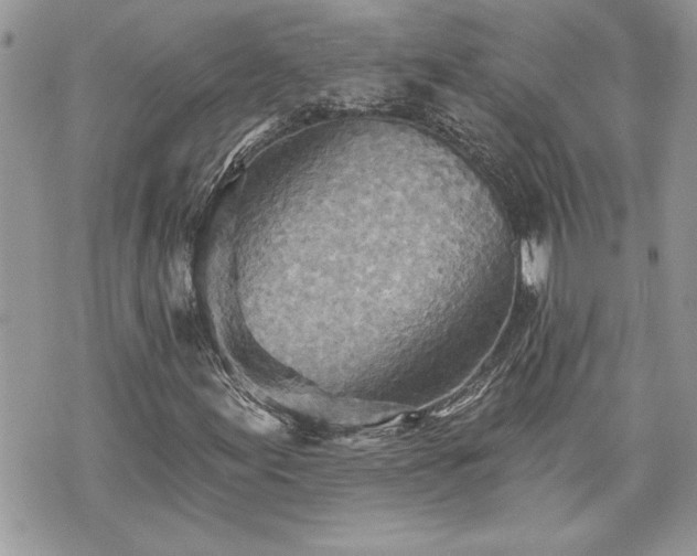 X0000070361155200606161244