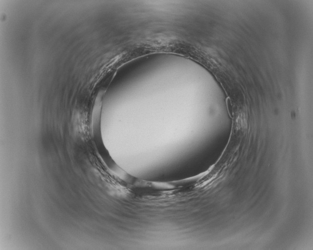 X0000070361156200606161244