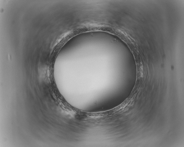 X0000070361157200606161244