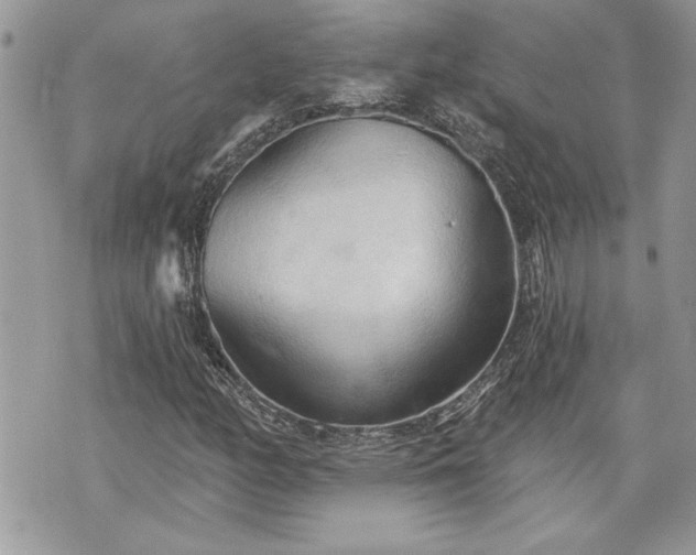 X0000070361158200606161244