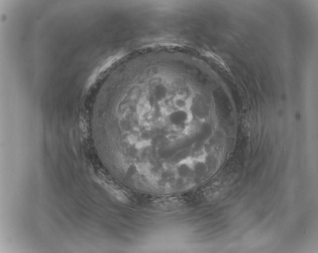 X0000070361159200606161244