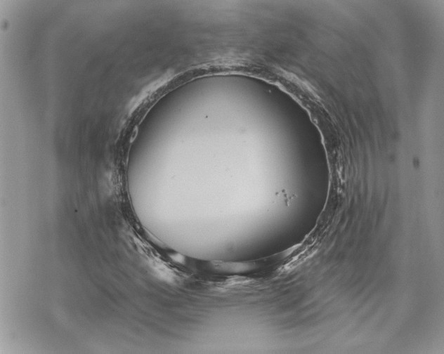 X0000070361160200606161244