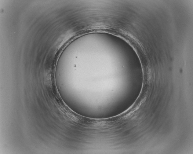 X0000070361162200606161244