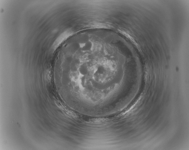 X0000070361163200606161244