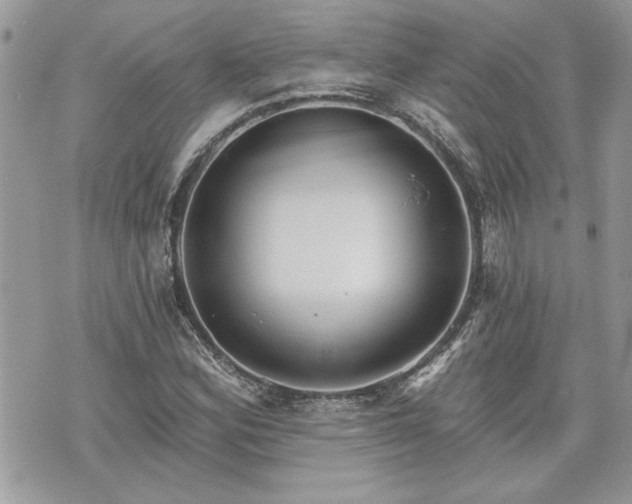 X0000070361164200606161244