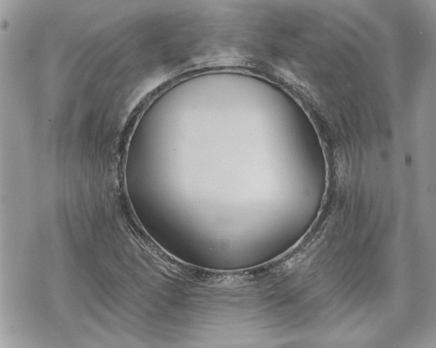 X0000070361166200606161244