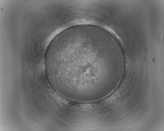 X0000070361167200606161244