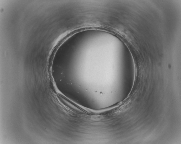 X0000070361168200606161244