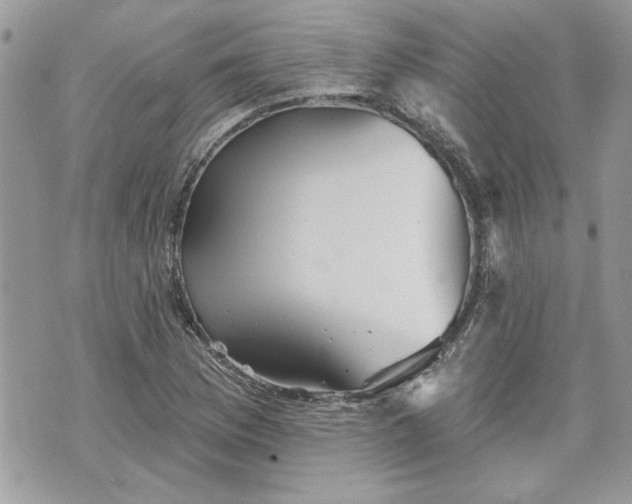 X0000070361169200606161244