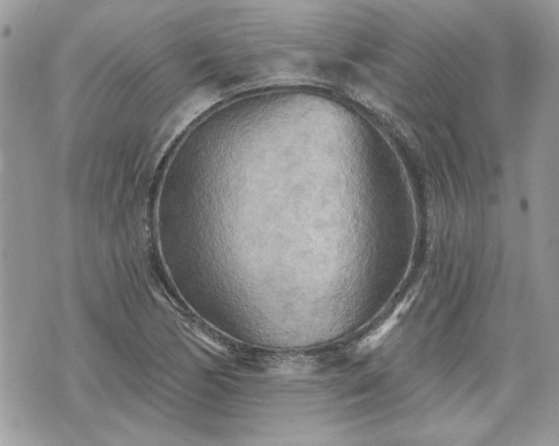 X0000070361170200606161244