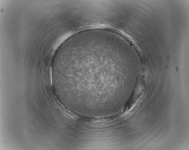 X0000070361171200606161244