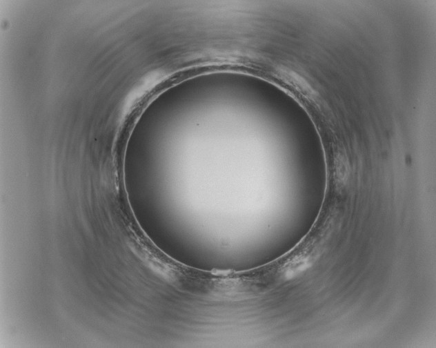 X0000070361172200606161244