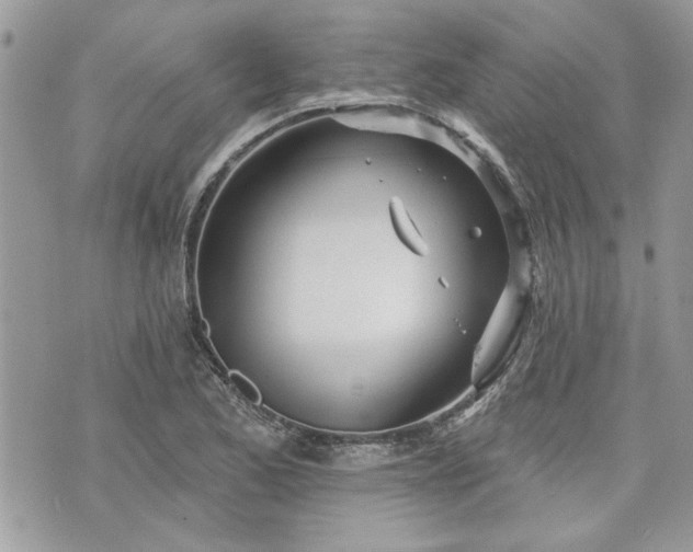 X0000070361173200606161244