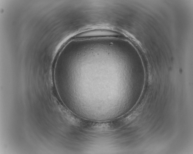 X0000070361174200606161244