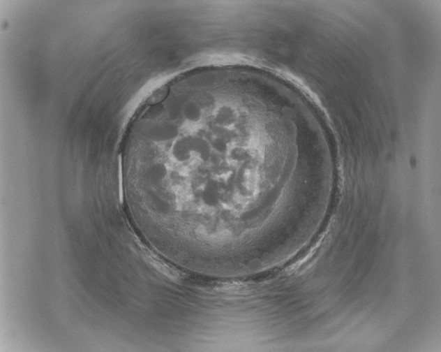 X0000070361175200606161244