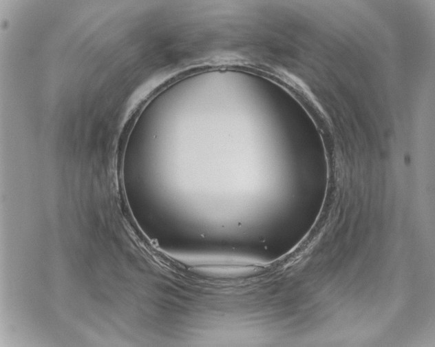 X0000070361176200606161244