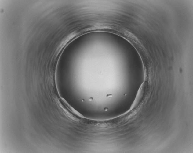 X0000070361177200606161244