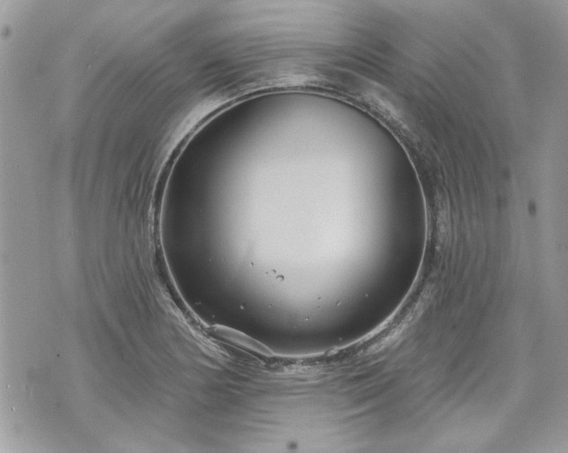 X0000070361178200606161244