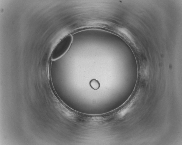 X0000070361180200606161244