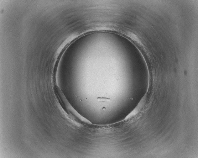 X0000070361181200606161244