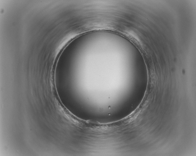 X0000070361182200606161244