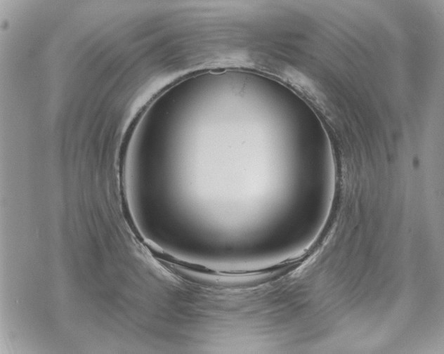 X0000070361184200606161244