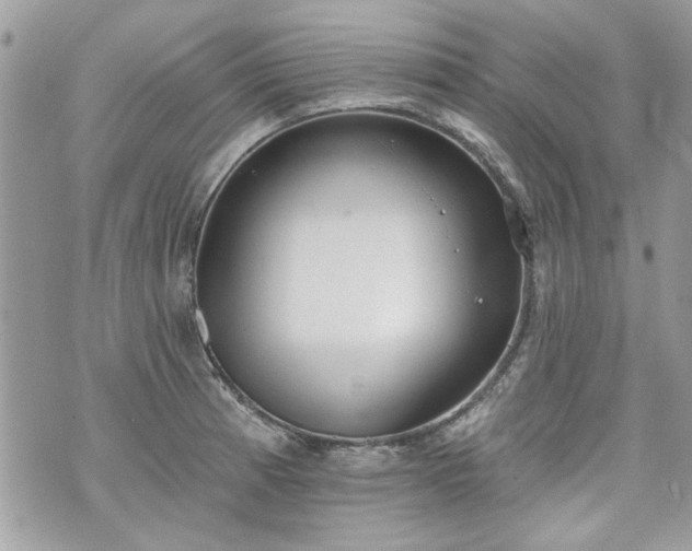 X0000070361185200606161244