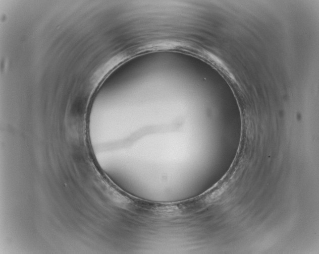 X0000070361186200606161244