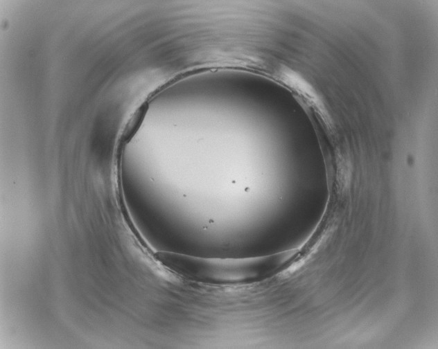 X0000070361188200606161244