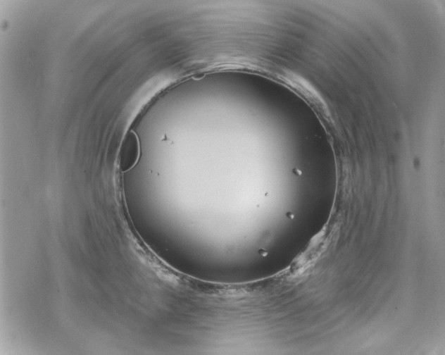 X0000070361190200606161243