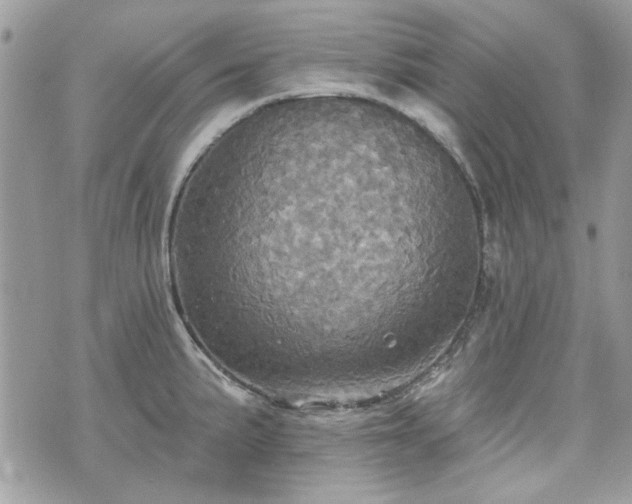 X0000070361191200606161243