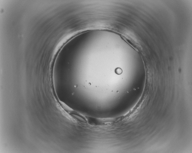 X0000070361192200606161243