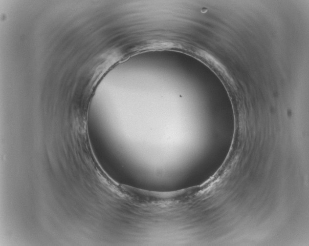 X0000070361193200606161243