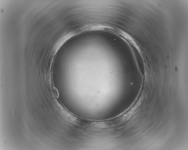 X0000070361194200606161243