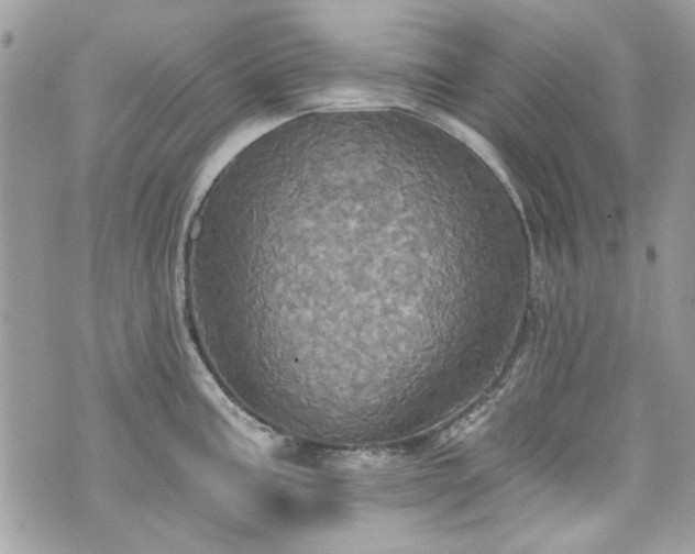 X0000070361195200606161243