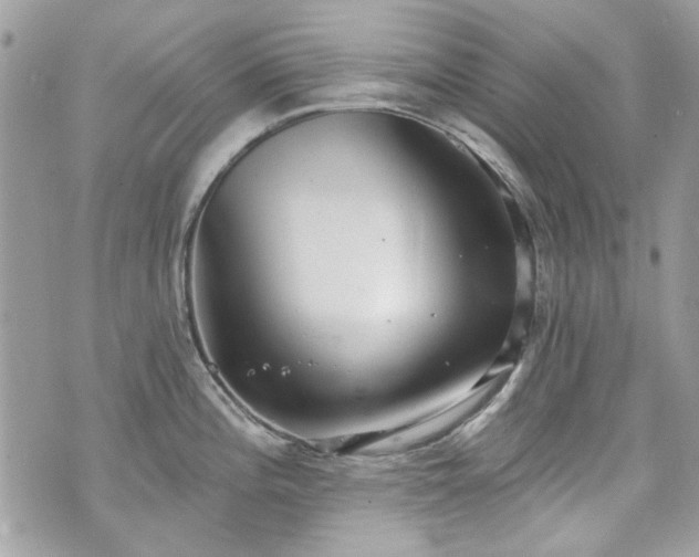 X0000070361196200606161243